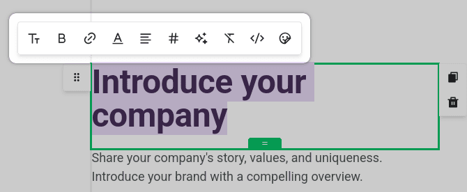 MailerLite style section text
